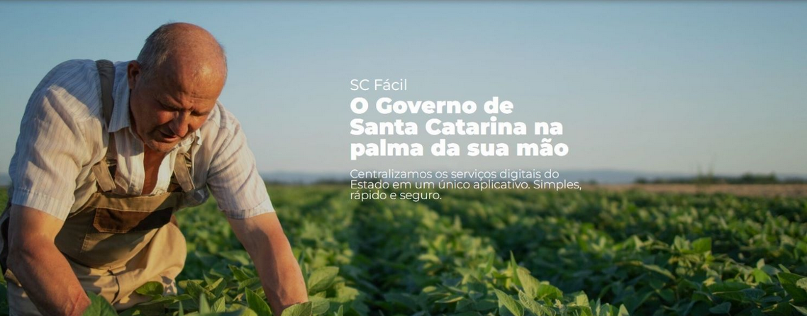 SC Fácil reúne 530 serviços do Estado em um mês de funcionamento