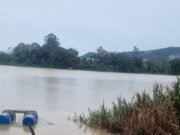 Corpo em avançado estado de decomposição é encontrado às margens de rio em Ilhota