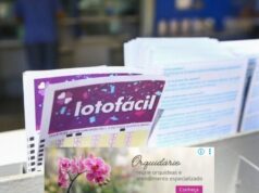 Lotofácil premia duas apostas simples com mais de R$ 698 mil cada