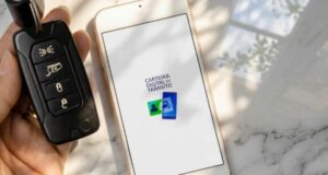 Adeus ao plástico: veja o passo a passo fácil e rápido para ativar a sua CNH Digital no celular sem precisar ir ao Detran e com validade em todo o país