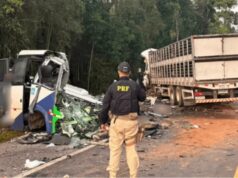 Tragédia na BR-373: grave acidente entre micro-ônibus e caminhão deixa 22 mortos no Paraná