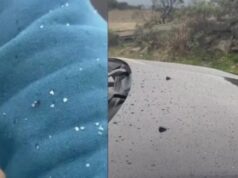 Em meio à 6°C, chuva congelada encanta turistas na Capital Nacional do Frio em SC
