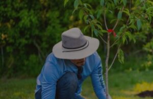 Ilhota abre inscrições para o programa “Adote uma Área Verde” com 24 espaços públicos disponíveis