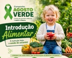Campanha Agosto Verde promove conscientização sobre nutrição na Primeira Infância em Ilhota