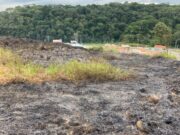 Incêndio em vegetação mobiliza Bombeiros Voluntários próximo a residências em Ilhota