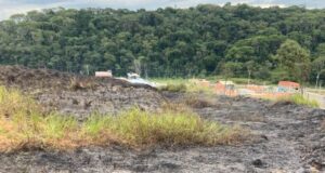 Incêndio em vegetação mobiliza Bombeiros Voluntários próximo a residências em Ilhota