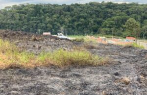 Incêndio em vegetação mobiliza Bombeiros Voluntários próximo a residências em Ilhota