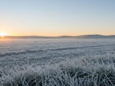 Massa de ar frio avança no Oeste de SC e traz manhãs de 6°C com risco de geada