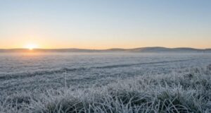 Massa de ar frio avança no Oeste de SC e traz manhãs de 6°C com risco de geada
