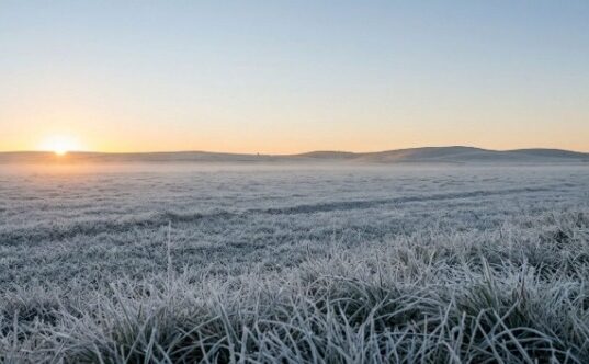 Massa de ar frio avança no Oeste de SC e traz manhãs de 6°C com risco de geada