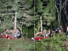 Mulher morre após caminhonete cair em barranco de 50 metros em Concórdia