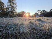 Frio extremo de -9,1°C congela vegetação e transforma paisagem na Serra de SC