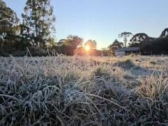 Frio extremo de -9,1°C congela vegetação e transforma paisagem na Serra de SC