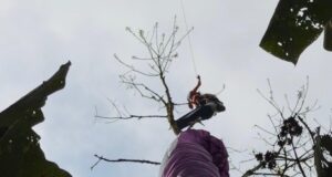 Homem é resgatado ileso após queda de parapente em área de difícil acesso no Morro Azul, em Timbó