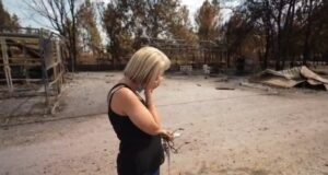 Animais resgatados e cidades cobertas por fumaça: o drama dos incêndios florestais na Europa