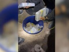 Drogas no galinheiro: mais de 100 quilos de maconha e cocaína são encontrados pela polícia em sítio de SC