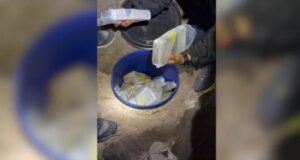 Drogas no galinheiro: mais de 100 quilos de maconha e cocaína são encontrados pela polícia em sítio de SC