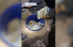 Drogas no galinheiro: mais de 100 quilos de maconha e cocaína são encontrados pela polícia em sítio de SC