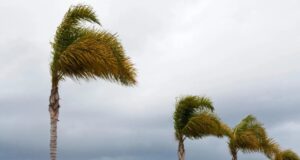 Frente fria traz tempestades e ventos de até 100 km/h para santa catarina e outros sete estados brasileiros