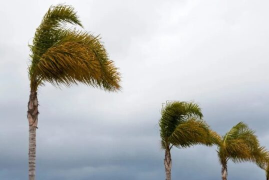 Frente fria traz tempestades e ventos de até 100 km/h para santa catarina e outros sete estados brasileiros