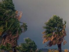 Tempestades com granizo e ventos de até 60 km/h colocam cidades do Oeste de SC em alerta
