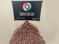Polícia Militar apreende mais de 144 quilos de maconha e prende cinco pessoas em Blumenau 144 quilos de maconha