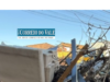 Nova lei municipal estabelece multa severa para o descarte irregular de lixo e entulhos em imóveis alheios descarte irregular de entulhos com multa superior a R$ 12 mil