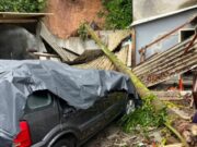 Família escapa por minutos de queda de árvore durante deslizamento em Blumenau