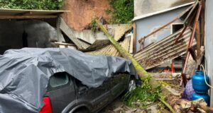 Família escapa por minutos de queda de árvore durante deslizamento em Blumenau