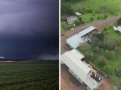 Tornado é confirmado em Campo Erê e imagens revelam rastro de destruição após tempestade
