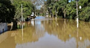 Nível do Rio Negro estabiliza em 8 metros e deixa mais de 50 famílias desabrigadas em SC e PR