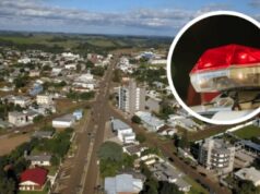 Mulher é presa após deixar crianças e adolescente sozinhas para ir a festa em Santa Catarina