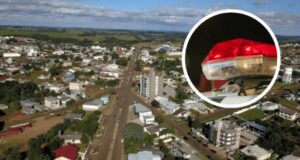 Mulher é presa após deixar crianças e adolescente sozinhas para ir a festa em Santa Catarina