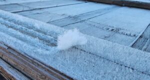 Massa de ar polar derruba temperaturas e Serra de SC registra -4,8°C