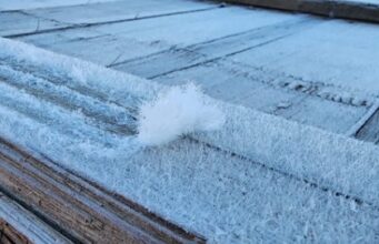 Massa de ar polar derruba temperaturas e Serra de SC registra -4,8°C