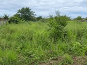 Justiça condena homem após sucessivas vendas do mesmo terreno rural no Vale do Itajaí