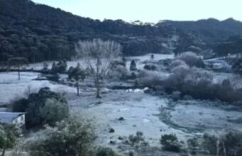 Nova massa de ar frio traz temperaturas de até 4°C no início da primavera em Santa Catarina