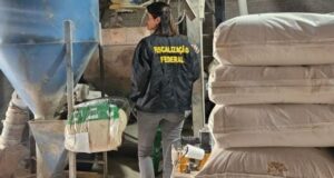 Denúncia revela fábrica irregular de ração animal com pragas e falhas de higiene em Blumenau
