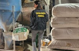 Denúncia revela fábrica irregular de ração animal com pragas e falhas de higiene em Blumenau
