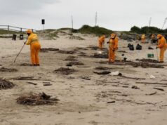 Efeitos do clima no Vale: chuvas intensas empurram mais de 73 toneladas de resíduos para o litoral catarinense.