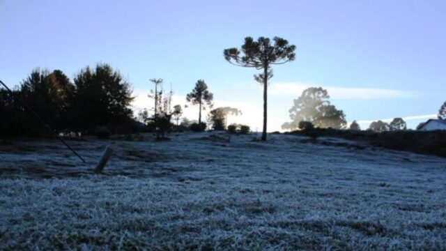 image - 2026-10-11T090516.250
