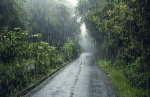 Termômetros não passam dos 22°C em SC com chuva e ventos no feriado; confira a previsão