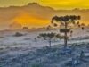 Massa de ar frio e ciclone extratropical derrubam temperaturas e trazem risco de geada a Santa Catarina