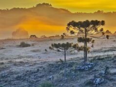 Massa de ar frio e ciclone extratropical derrubam temperaturas e trazem risco de geada a Santa Catarina
