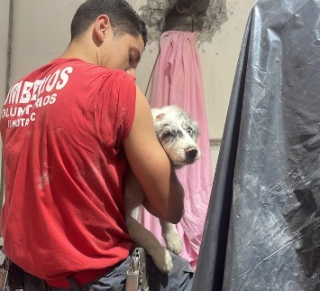 resgate emocionante de cachorro
